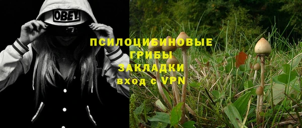экстази Алексин